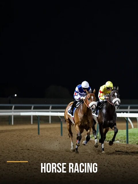 Horse racing market on Lords Exchange