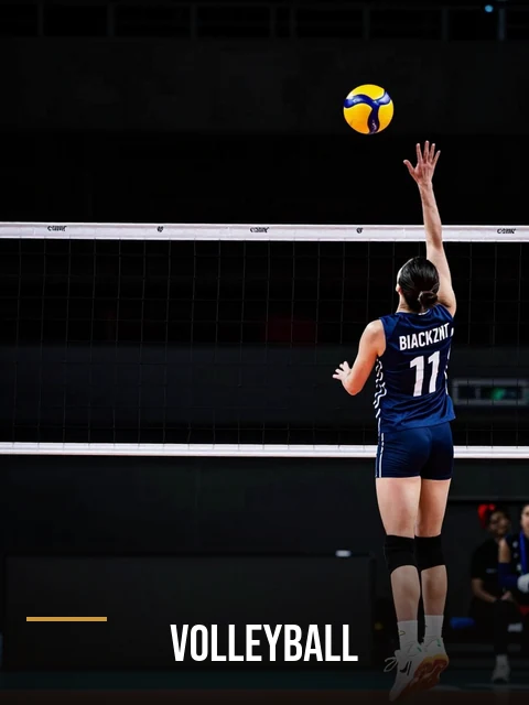 Volleyball exchange market on Lords Exchange